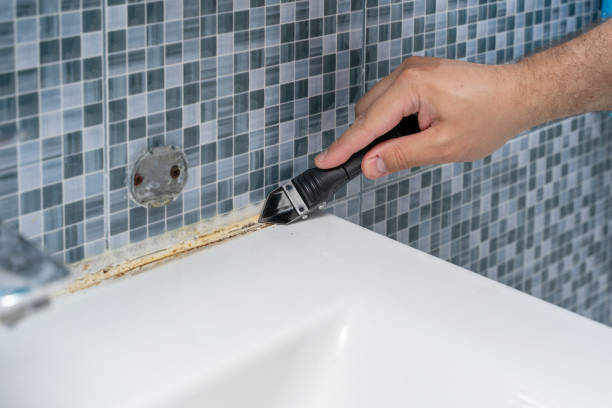 Best Mold Removal Near Me  in Zephyrhills North, FL