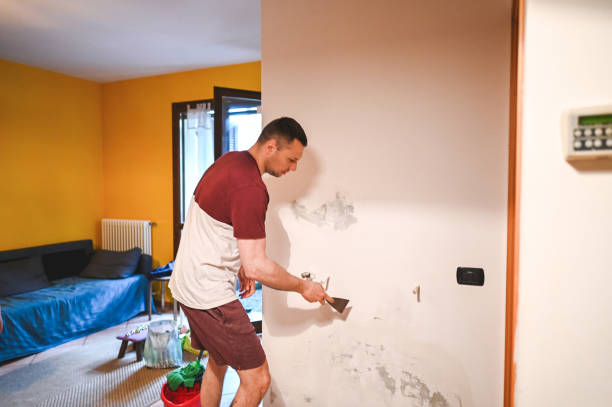 Best Black Mold Removal  in Zephyrhills North, FL
